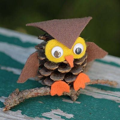 Download Pine Cone Owls - Craft Fiesta