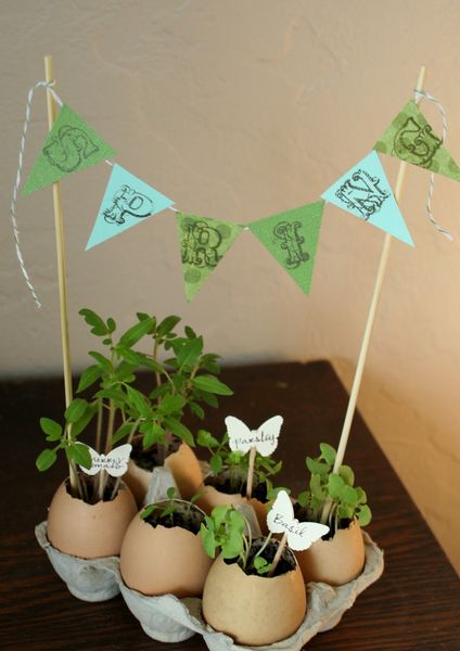 Eggshell Planters